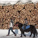 Backpacker Le Petit Baroudeur