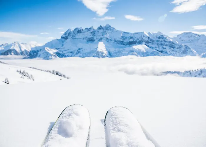 Backpacker Le Petit Baroudeur Vandrerhjem *