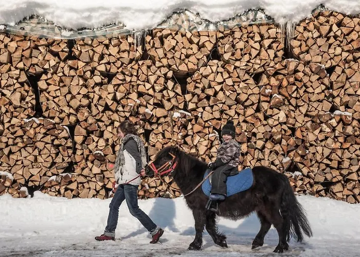 Backpacker Le Petit Baroudeur