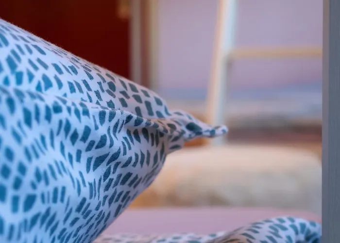 Hostel Backpacker Le Petit Baroudeur